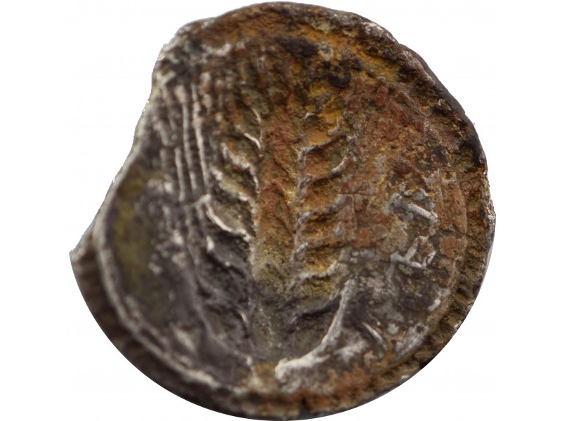   statère  (530-510 AC.)