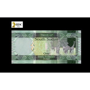 horizondescollectionneurs.com 2