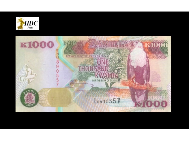 1000 Kwacha ZAMBIE 2003 P.40c