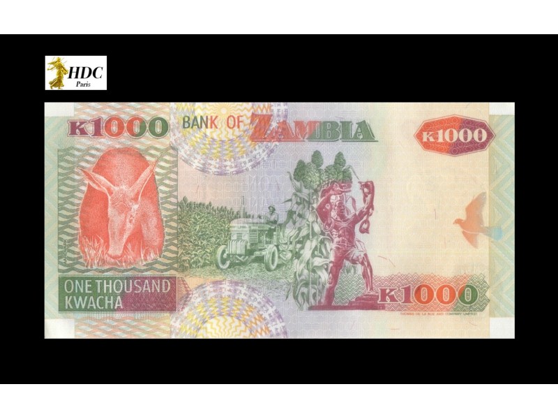 1000 Kwacha ZAMBIE 2003 P.40c