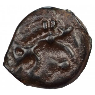 Sens Potin a la tete indien et au sanglier 2