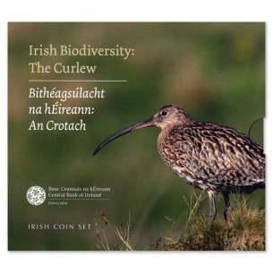 COFFRET BU IRLANDE 2024, Courlis