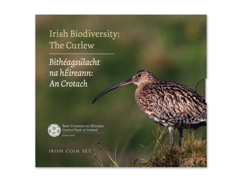 COFFRET BU IRLANDE 2024, Courlis