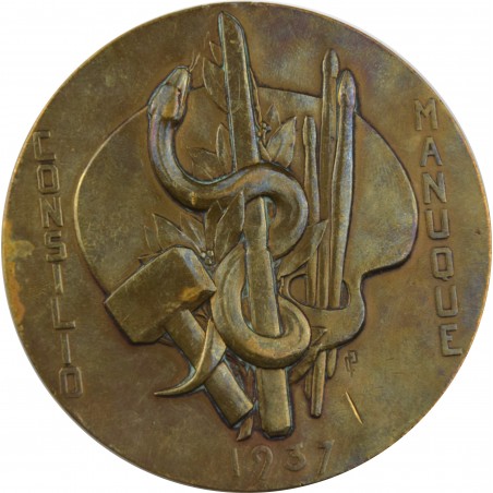 FRANCE Médaille Professeur Raymond Gregoire Consilio Manuque