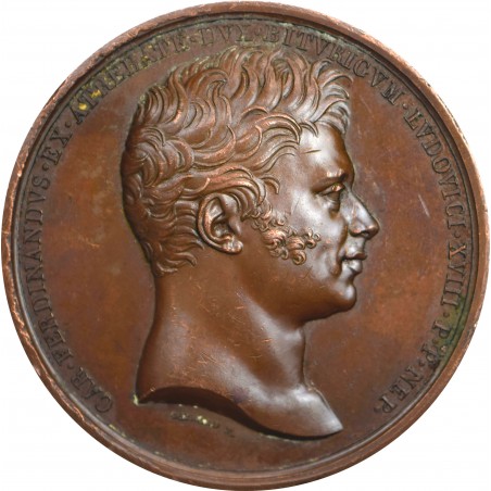Médaille LOUIS XVIII Société des arts, Mort du Duc de Berry